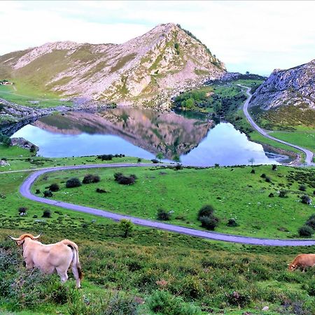 Vivienda Vacacional El Cuetu Del Sella Llames de Pría Екстериор снимка